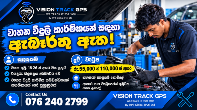 Auto Electrician