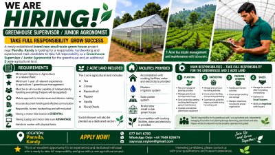 Greenhouse Supervisor / Junior Agronomist