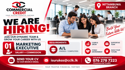 Marketing Executive