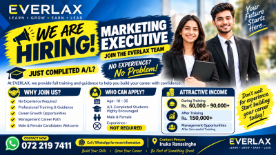 Marketing Executive
