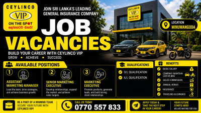 Marketing Vacancies