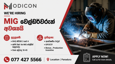MIG Welder