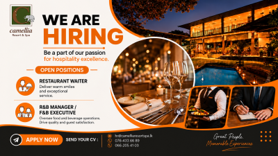 Restaurant Waiter / R&B Manager / F&B Executive