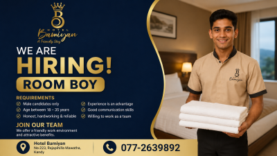 Room Boy