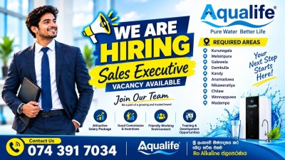 Sales Executive
