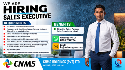 Sales Executive