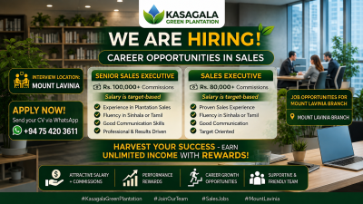 Senior Sales Executive / Sales Executive