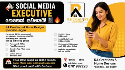 Social Media Executive