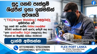 TIG / Argon Welder