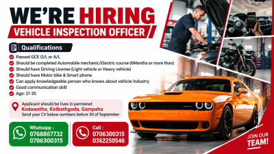 Vehicle Inspection Officer