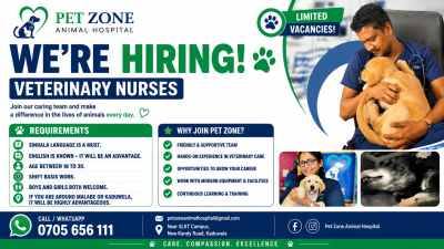 Veterinary Nurses