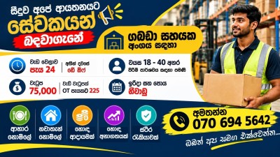 Warehouse Assistant